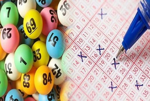 Nuôi lô khung 5 ngày